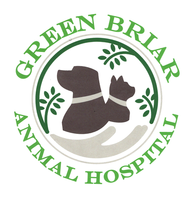 Green Briar Animal Hospital